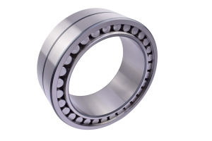 double-row cylindrical roller bearing